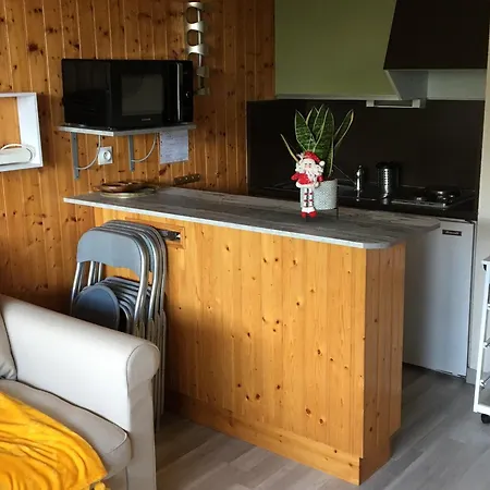 Διαμέρισμα Studio Cabine 4 Pers Centre Station Proche Pistes - Fr-1-814-5